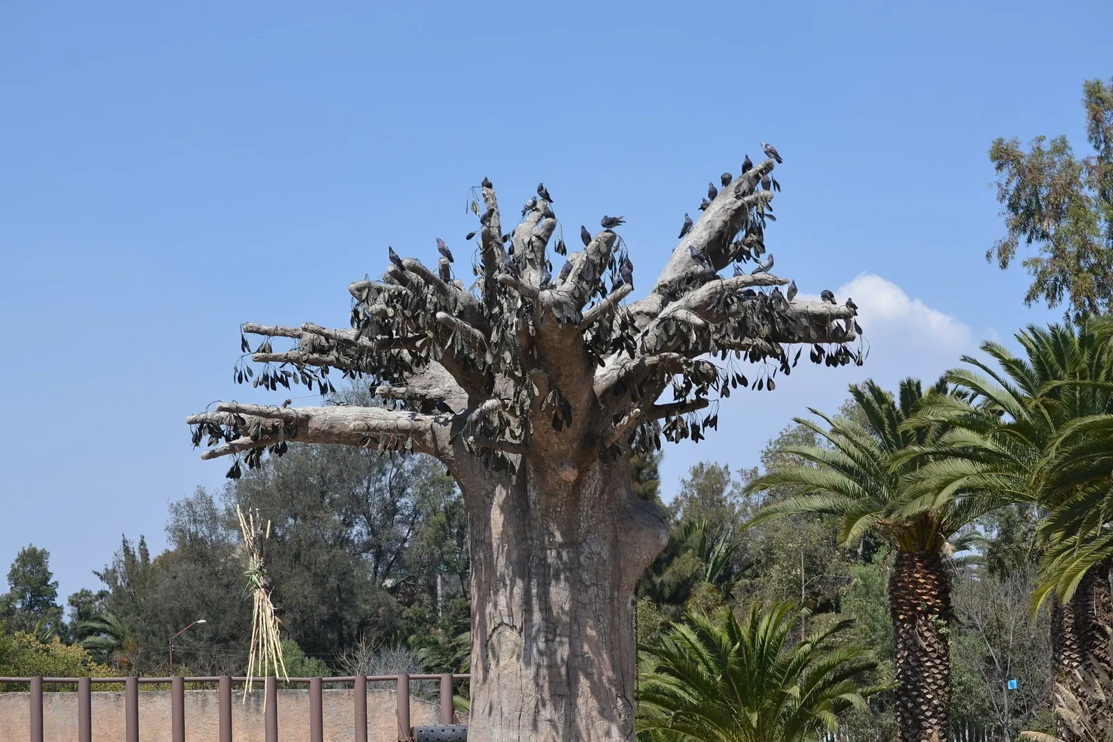 Zoo San Juan De Aragon