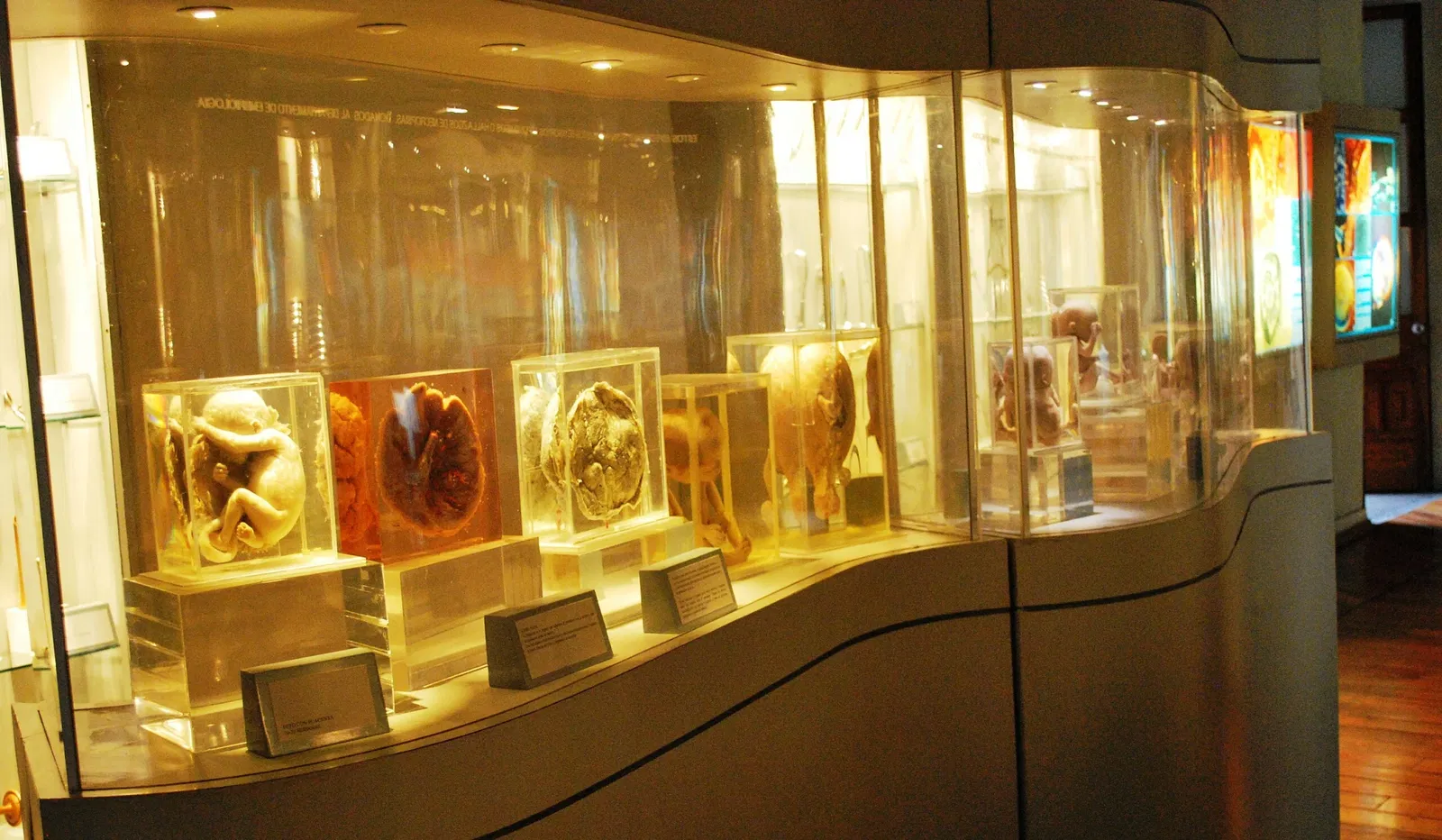 Palace of the Inquisition