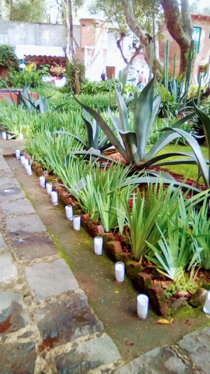 Leon Trotsky House Museum