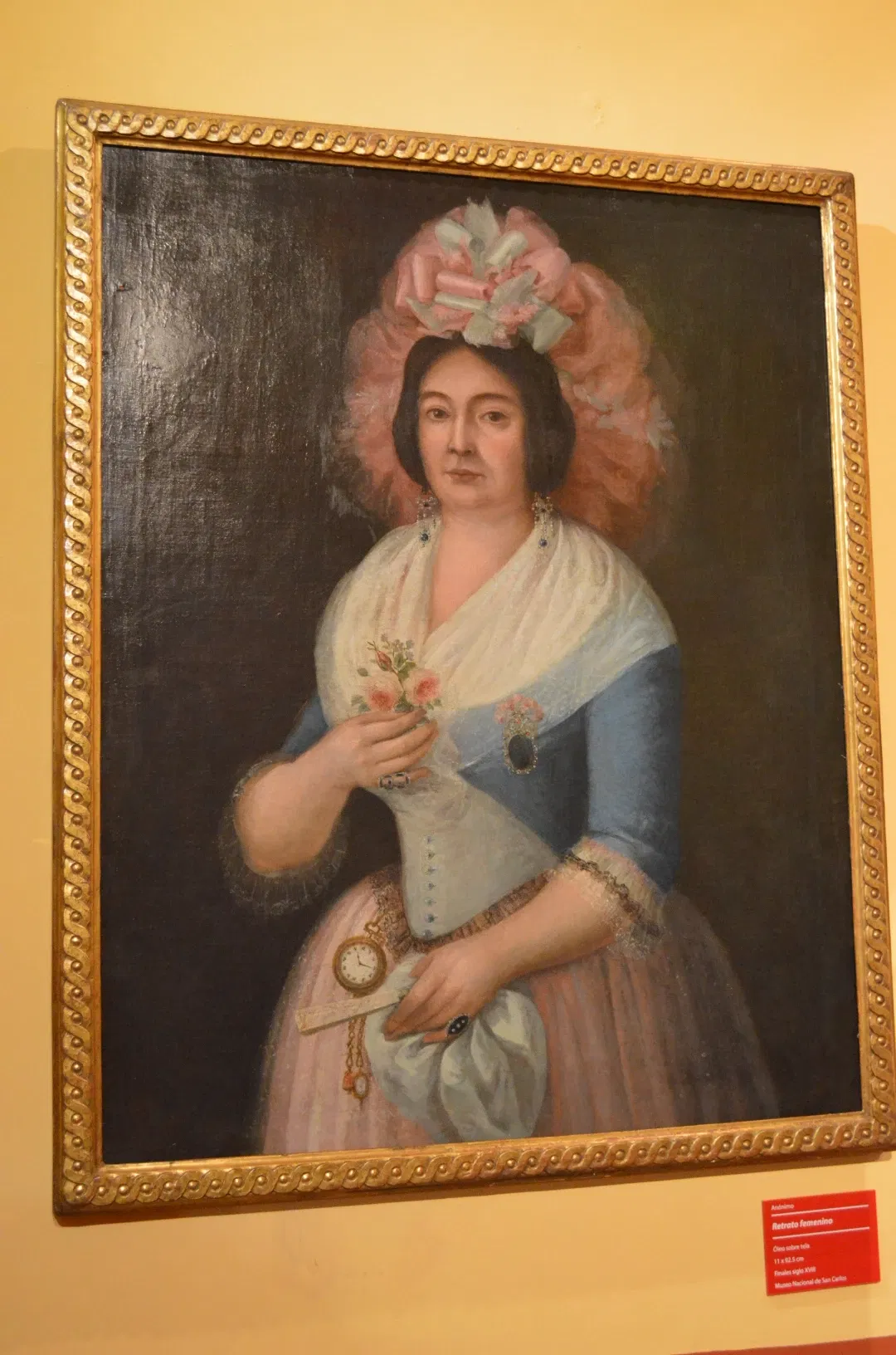 National Museum of San Carlos