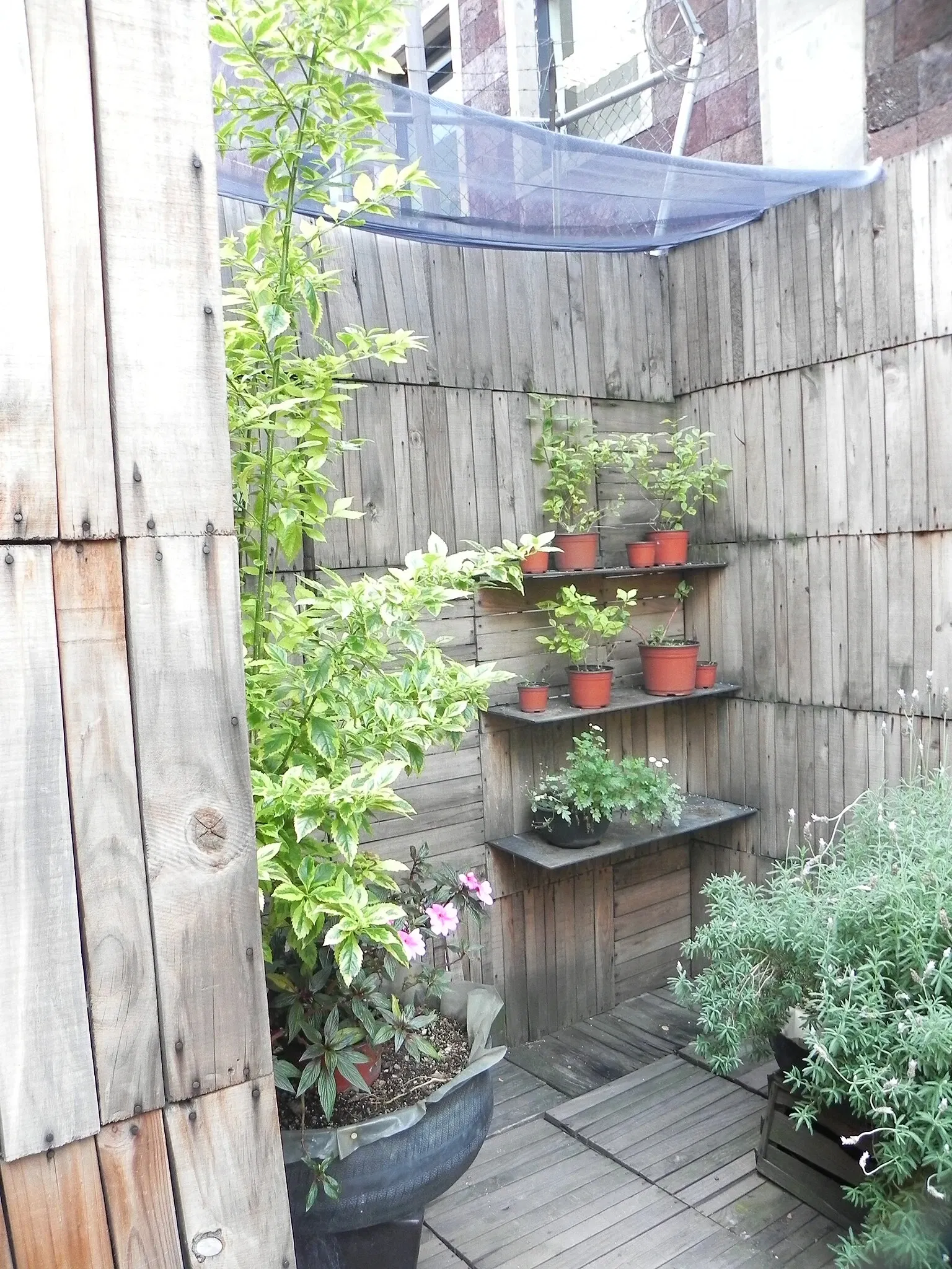 Interactive Museum of Economics