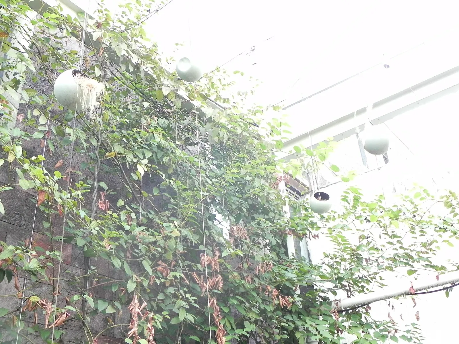 Museo Interactivo de Economía