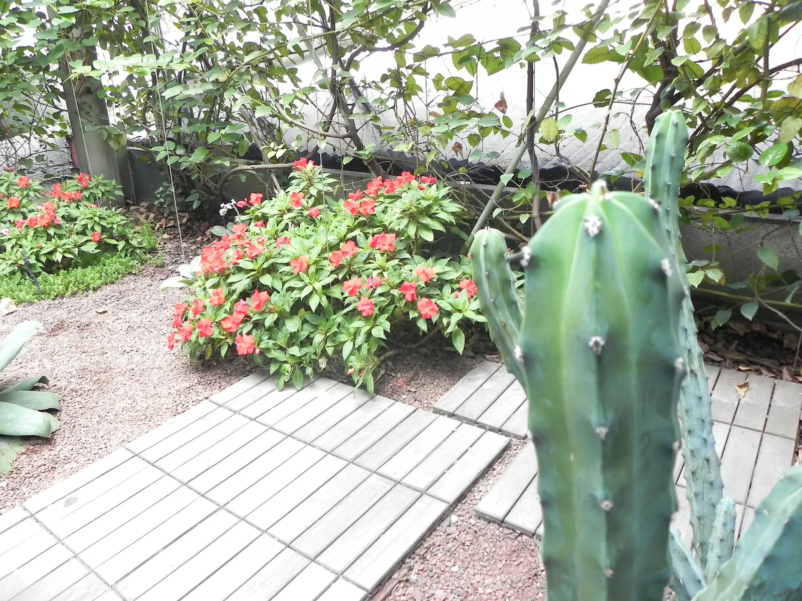 Interactive Museum of Economics