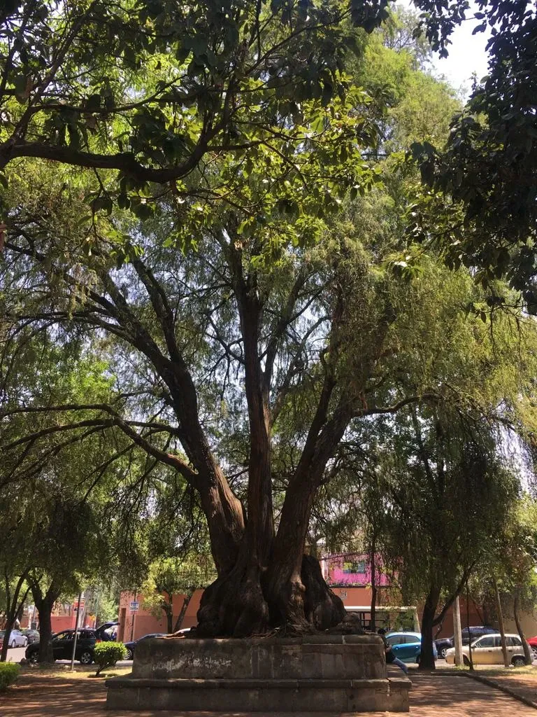 Museo Nacional de las Intervenciones