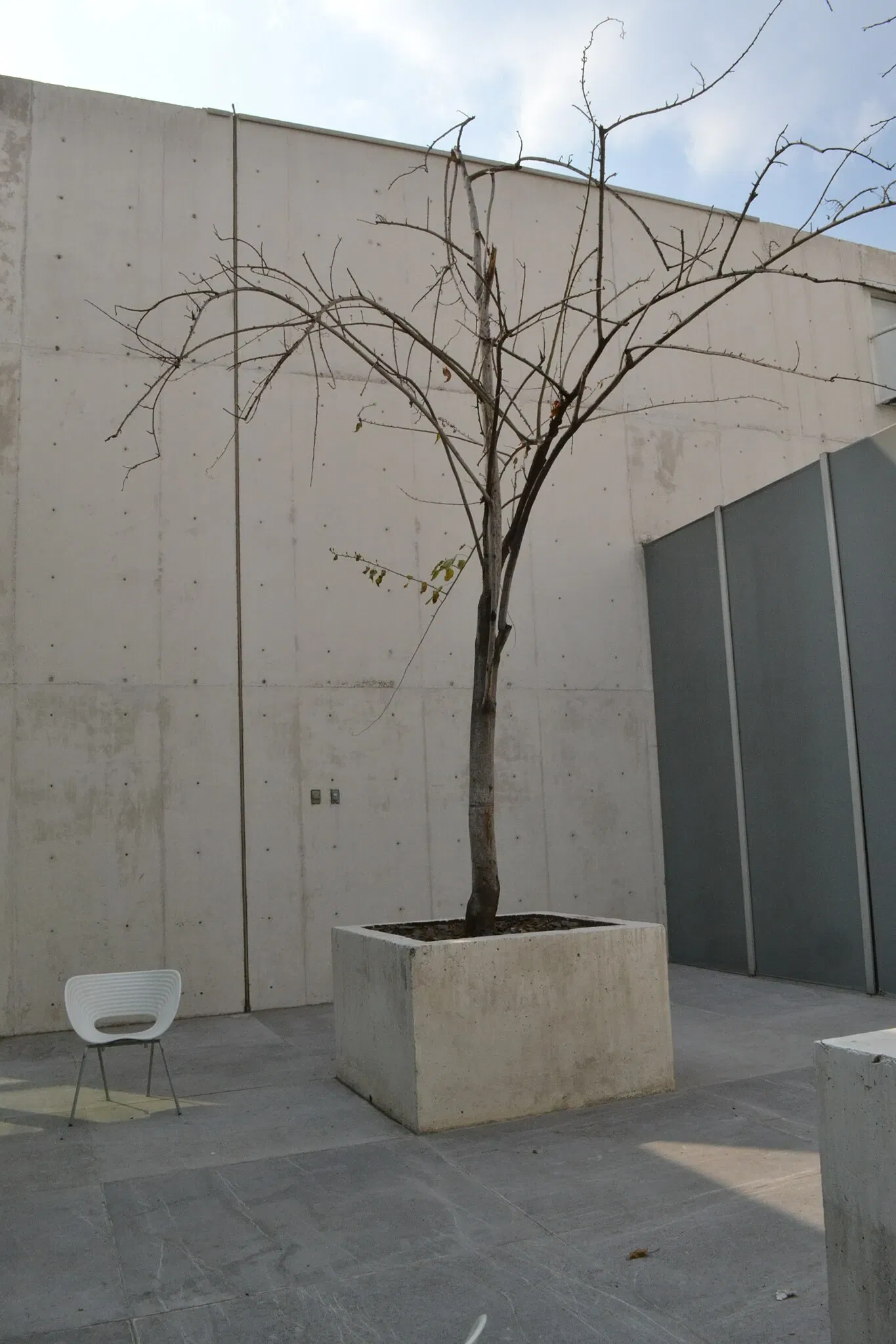 University Museum of Contemporary Art