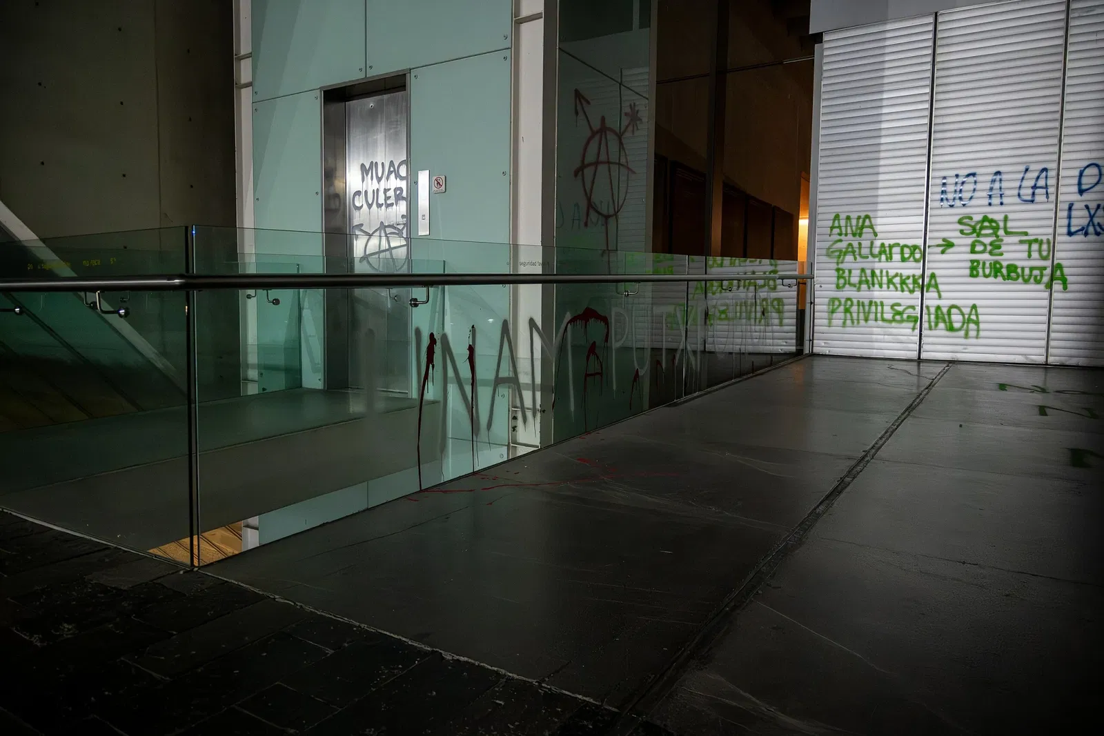 University Museum of Contemporary Art