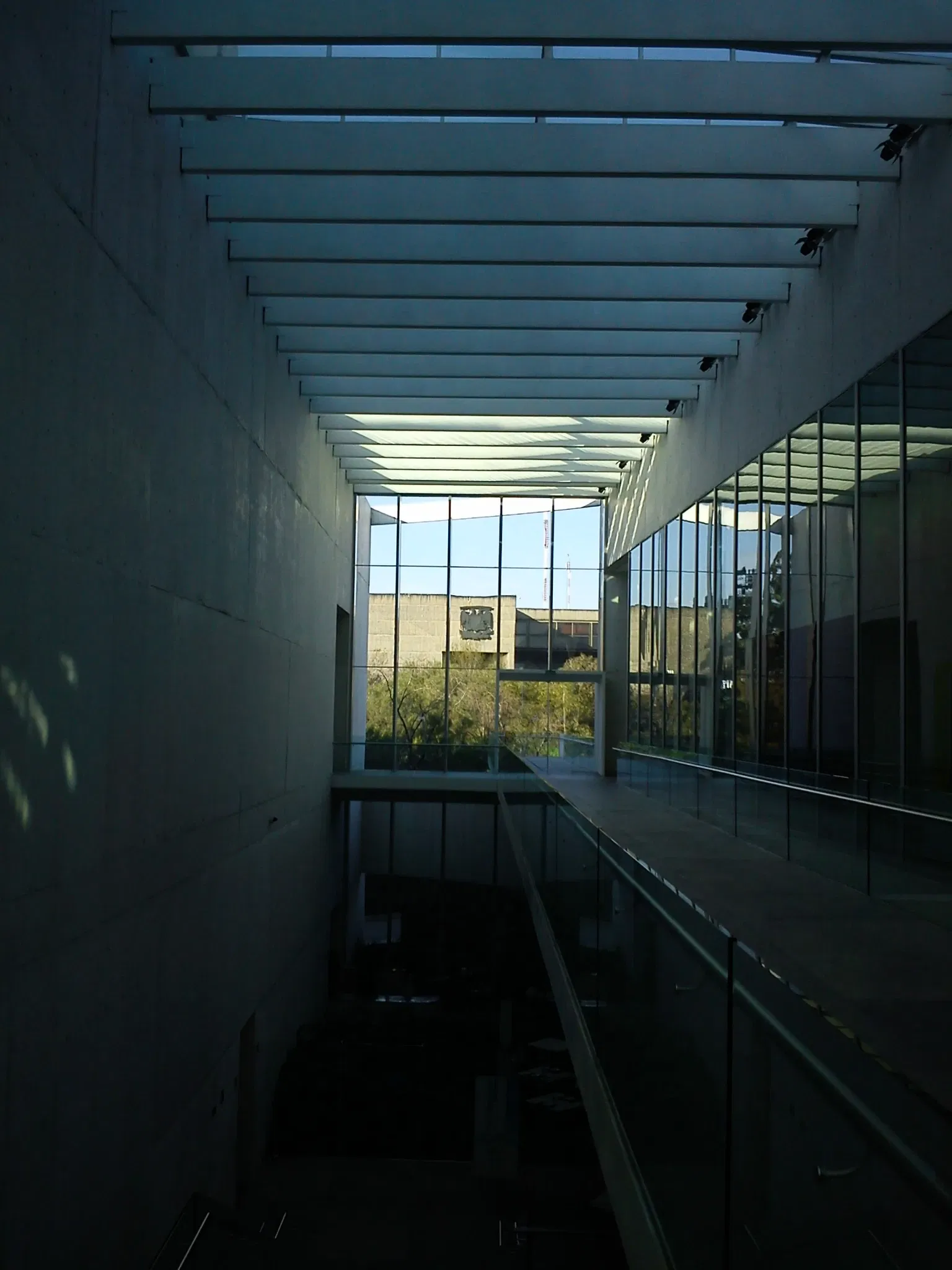 University Museum of Contemporary Art