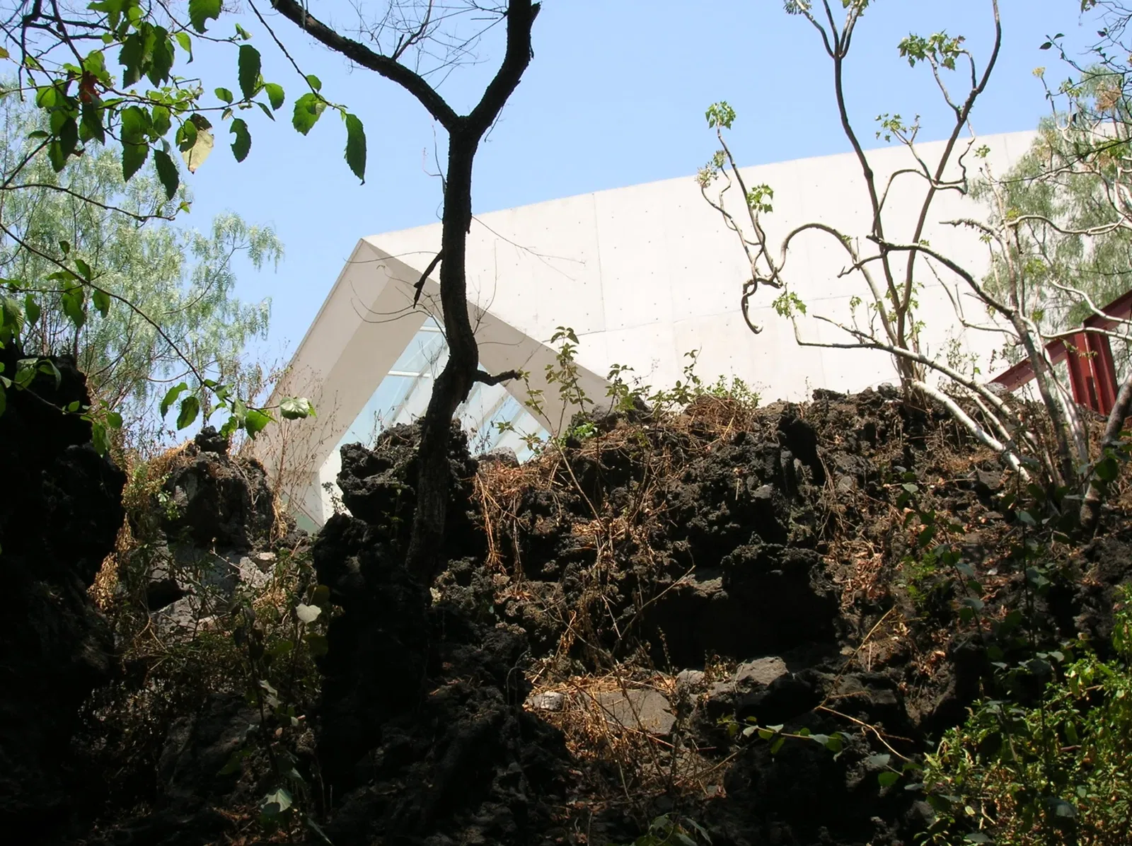 Museo Universitario de Arte Contemporáneo (MUAC)