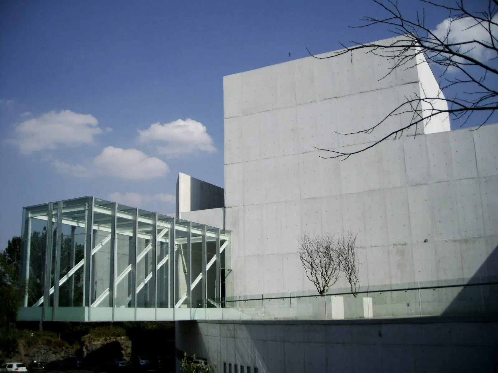 Museo Universitario de Arte Contemporáneo (MUAC)