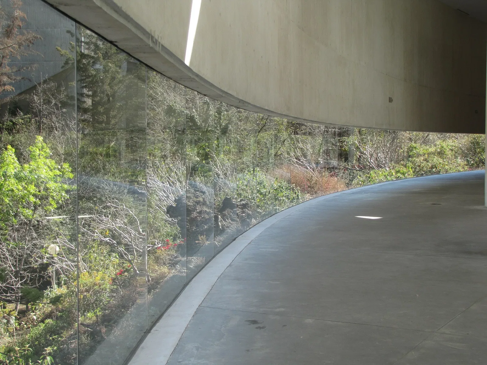 Museo Universitario de Arte Contemporáneo (MUAC)