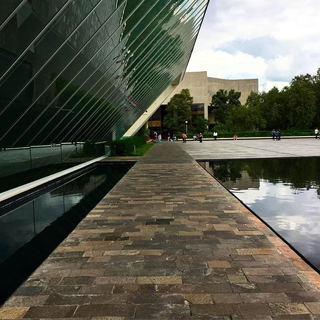 Museo Universitario de Arte Contemporáneo (MUAC)