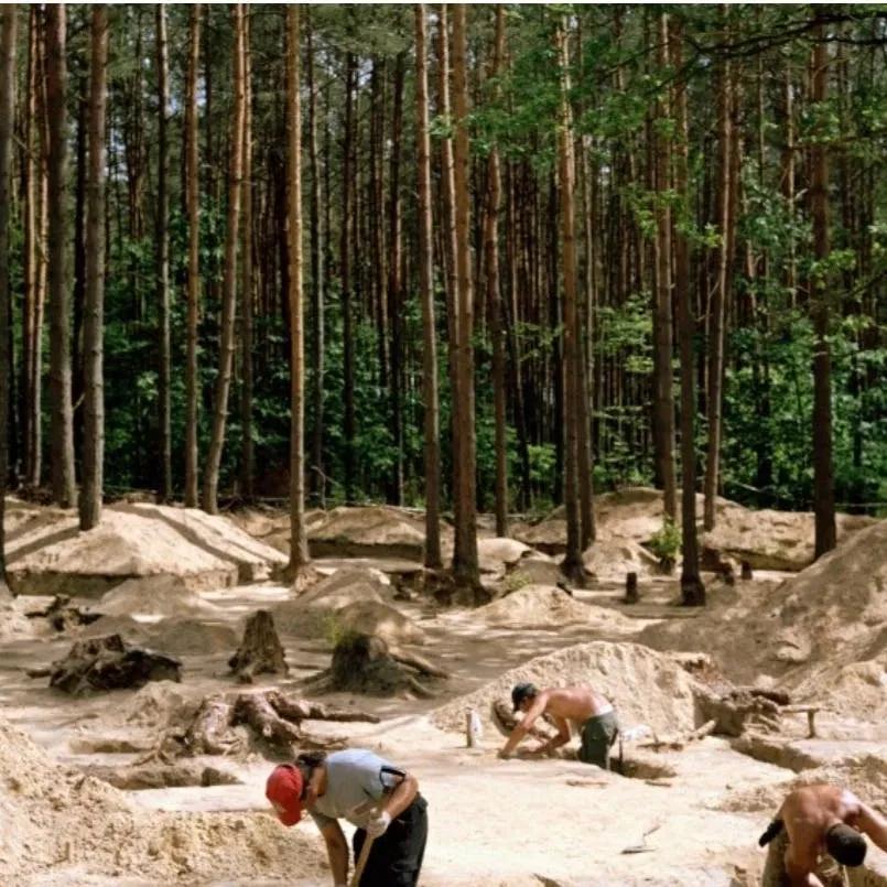 Dove sono finiti tutti i fiori