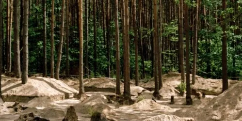 Où sont passées toutes les fleurs ?