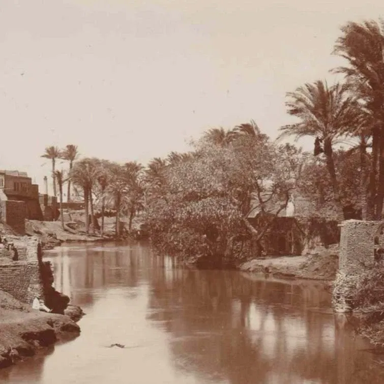 Por caminos no andados: Georg Schweinfurth y su importancia