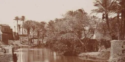 Sur des chemins inexplorés : Georg Schweinfurth et son importance