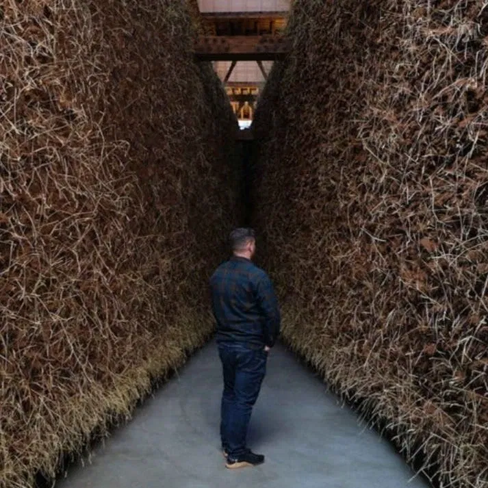 Delcy Morelos: Madre