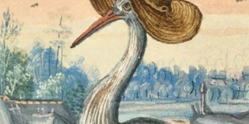 Bizarro: La historia del arte de la palabra más loca del mundo