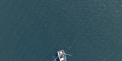 Coco Fusco. I Learned to Swim on Dry Land