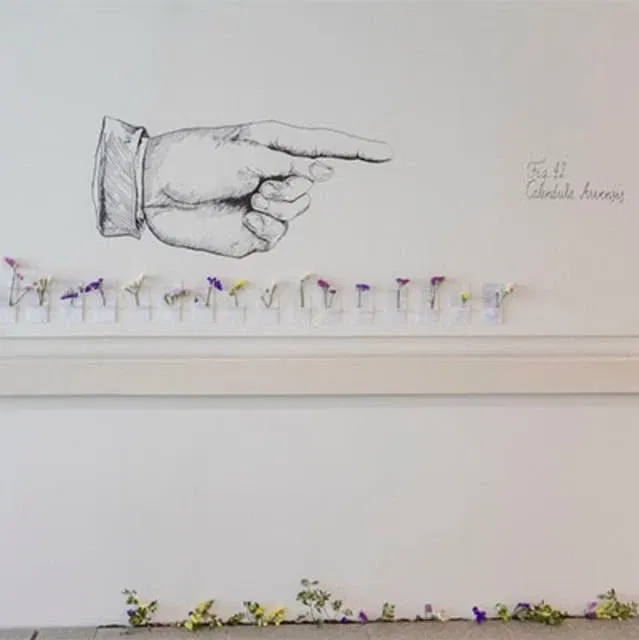 Intervention d'Arvenses par Marcos Reina