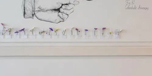 Intervention d'Arvenses par Marcos Reina