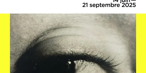 Anna Maria Maiolino: Io Sono Qui, Estou Qui