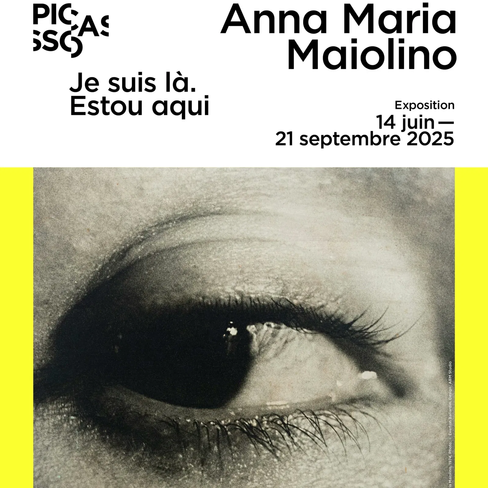 Anna Maria Maiolino : Je suis là, Estou Aqui