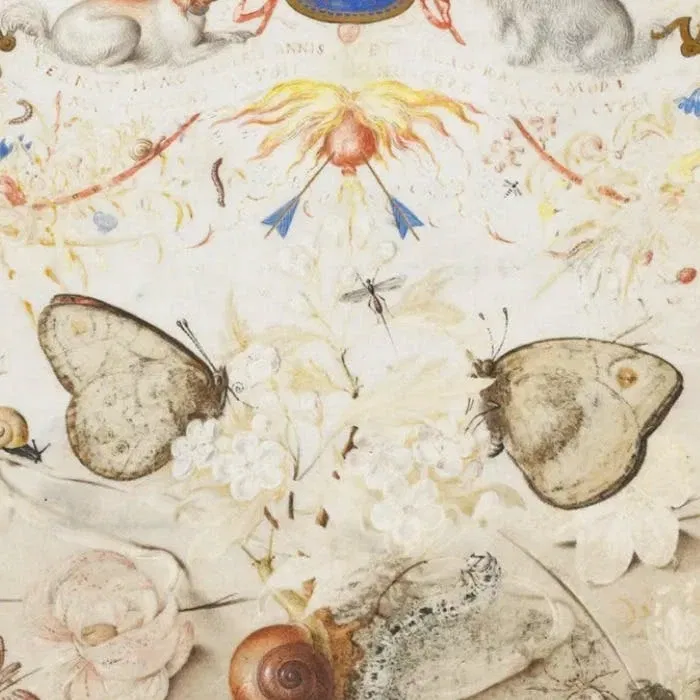 De ervaring van de natuur: Kunst in Praag aan het hof van Rudolf II
