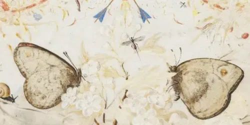 De ervaring van de natuur: Kunst in Praag aan het hof van Rudolf II