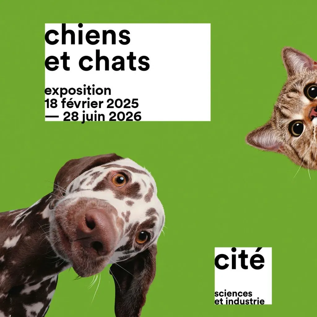 Perros y gatos