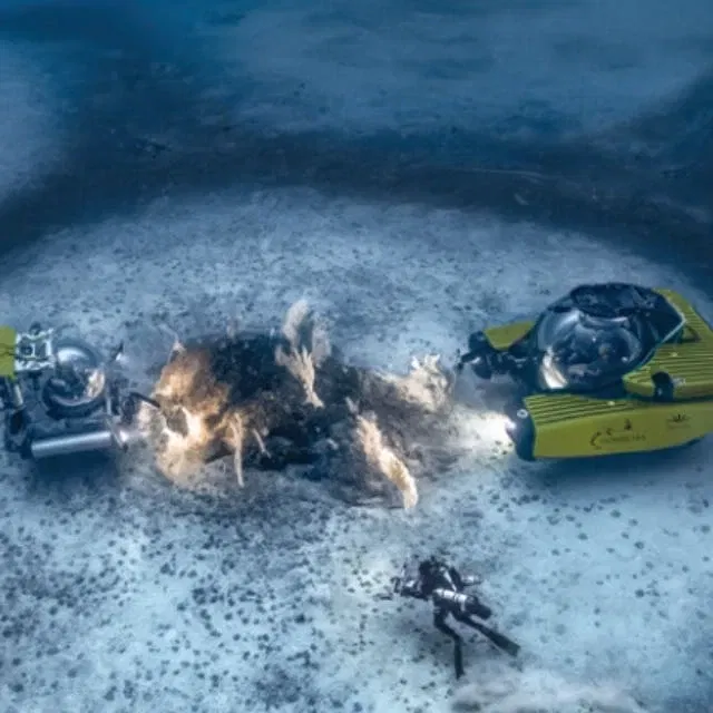 Il mistero degli anelli