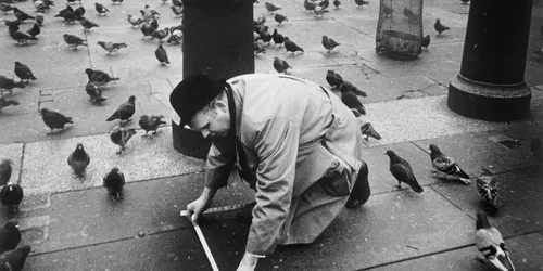 Hans Hammarskiöld: A Life of Highlights