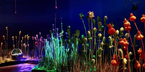 LA HECHICERA VIKINGA