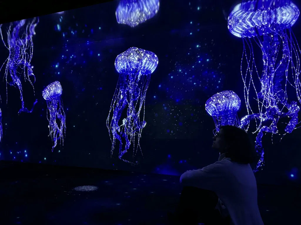 Univers immergé