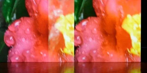 Pipilotti Rist : Supersubjektiv