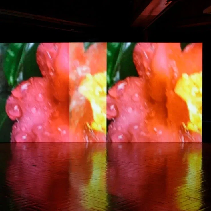 Pipilotti Rist: Supersubjektiv