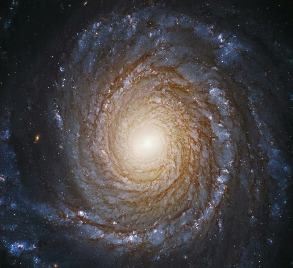 Black Holes