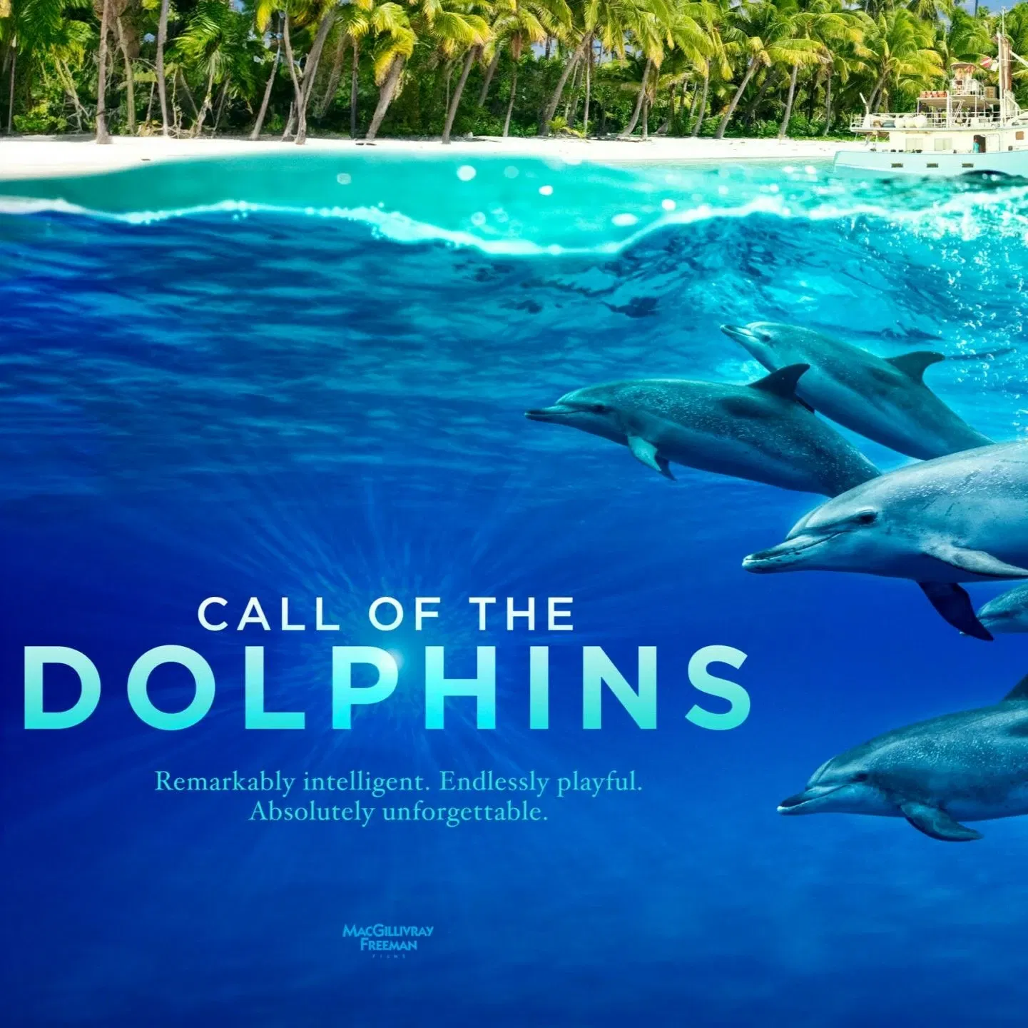 Simons Theater: Roep van de Dolfijnen 3D Film