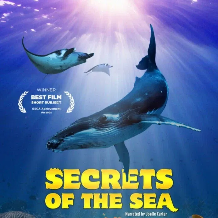 Simons Theater: Secrets of the Sea