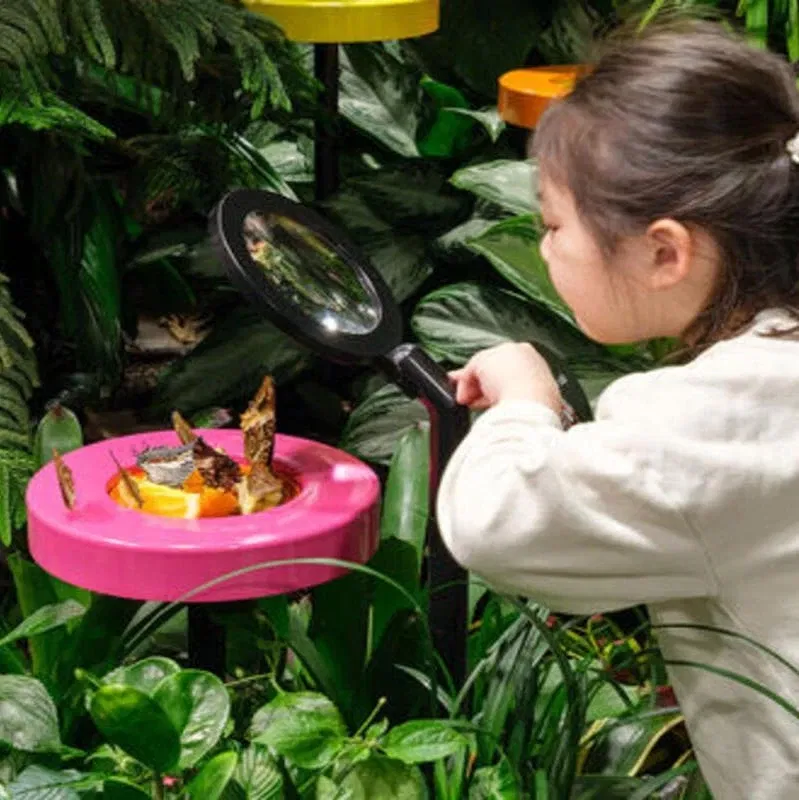 Mariposario Davis Family