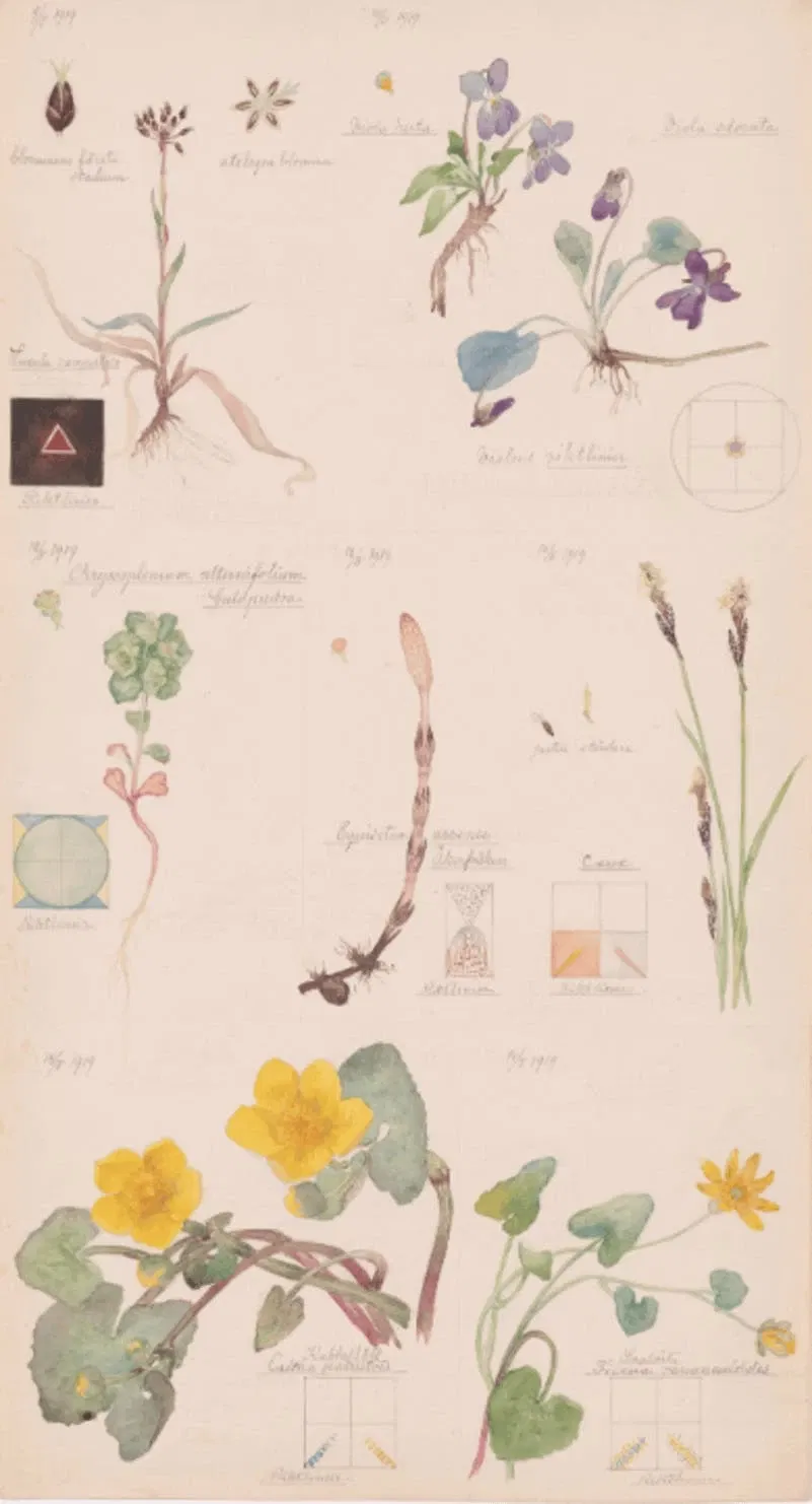 Hilma af Klint: cosa c'è dietro i fiori