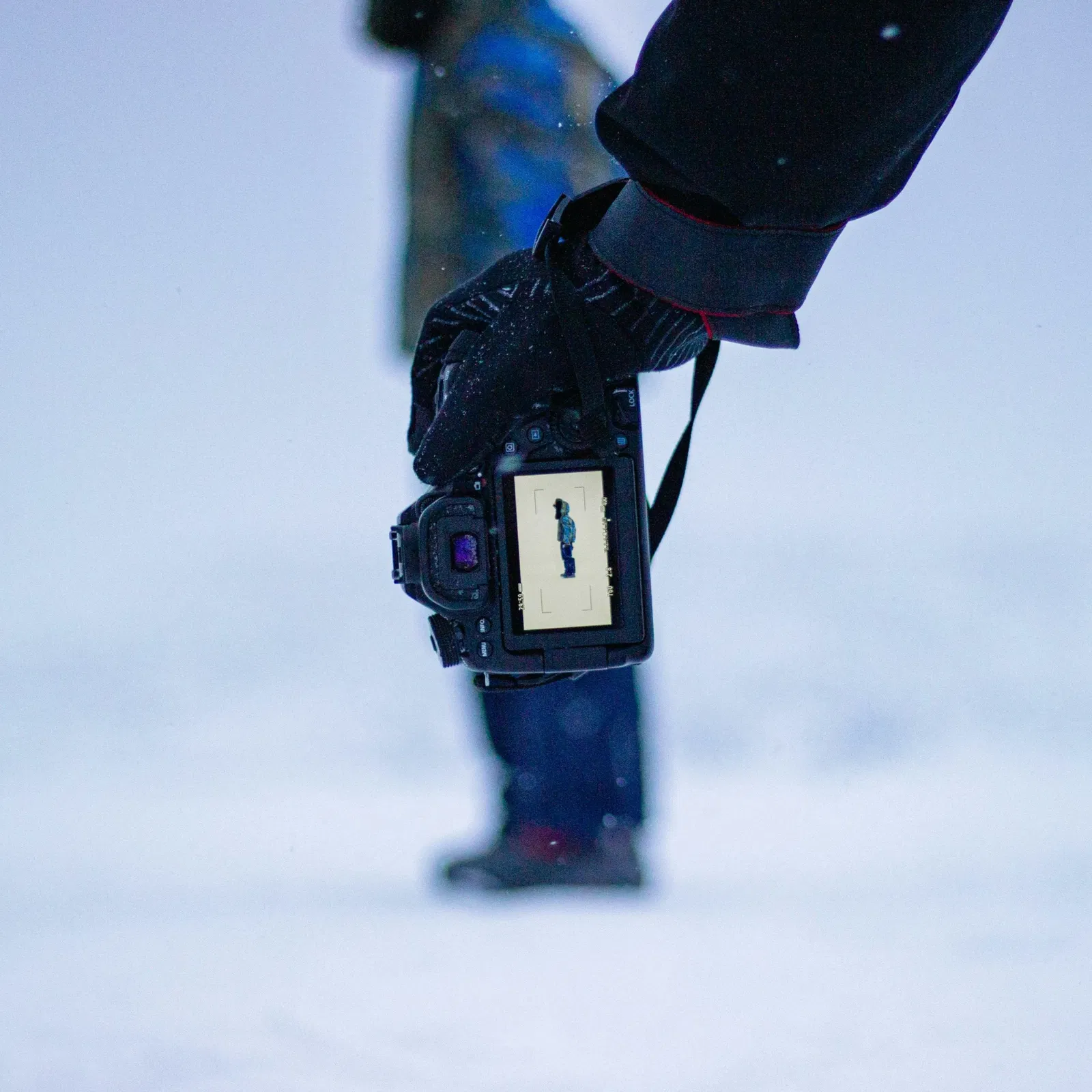 Unser Land, unsere Kunst