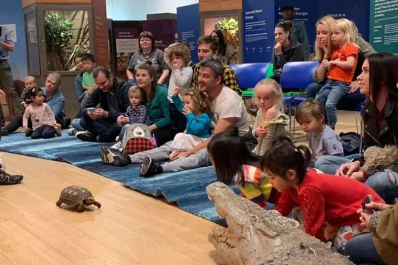 Das Überleben der Langsamsten