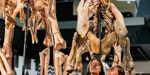 Melbourne Museum After Dark | Nocturnal: Space Odyssey