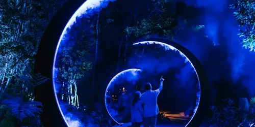 Astra Lumina at Currumbin Wildlife Sanctuary