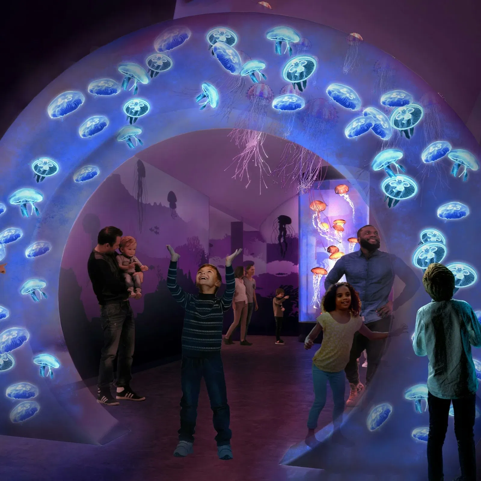 Juwelen van de zee: De Kwallen Experience