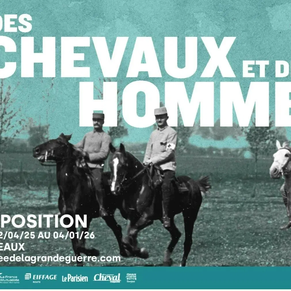 Des chevaux et des hommes