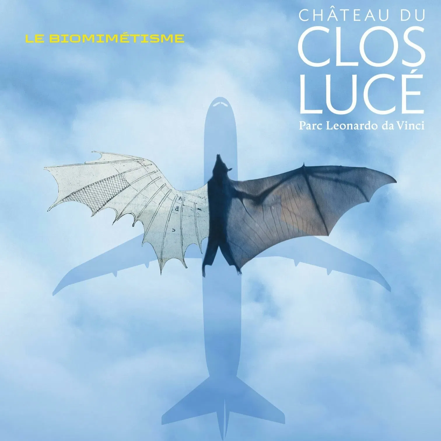 Leonardo Da Vinci and Biomimicry: Drawing Inspiration from the Living