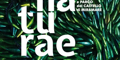 Naturae: Contemporary Art Environments