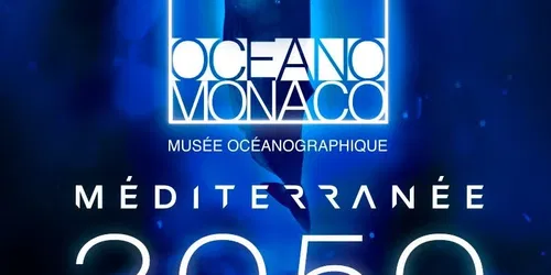 Mediterraneo: 2050