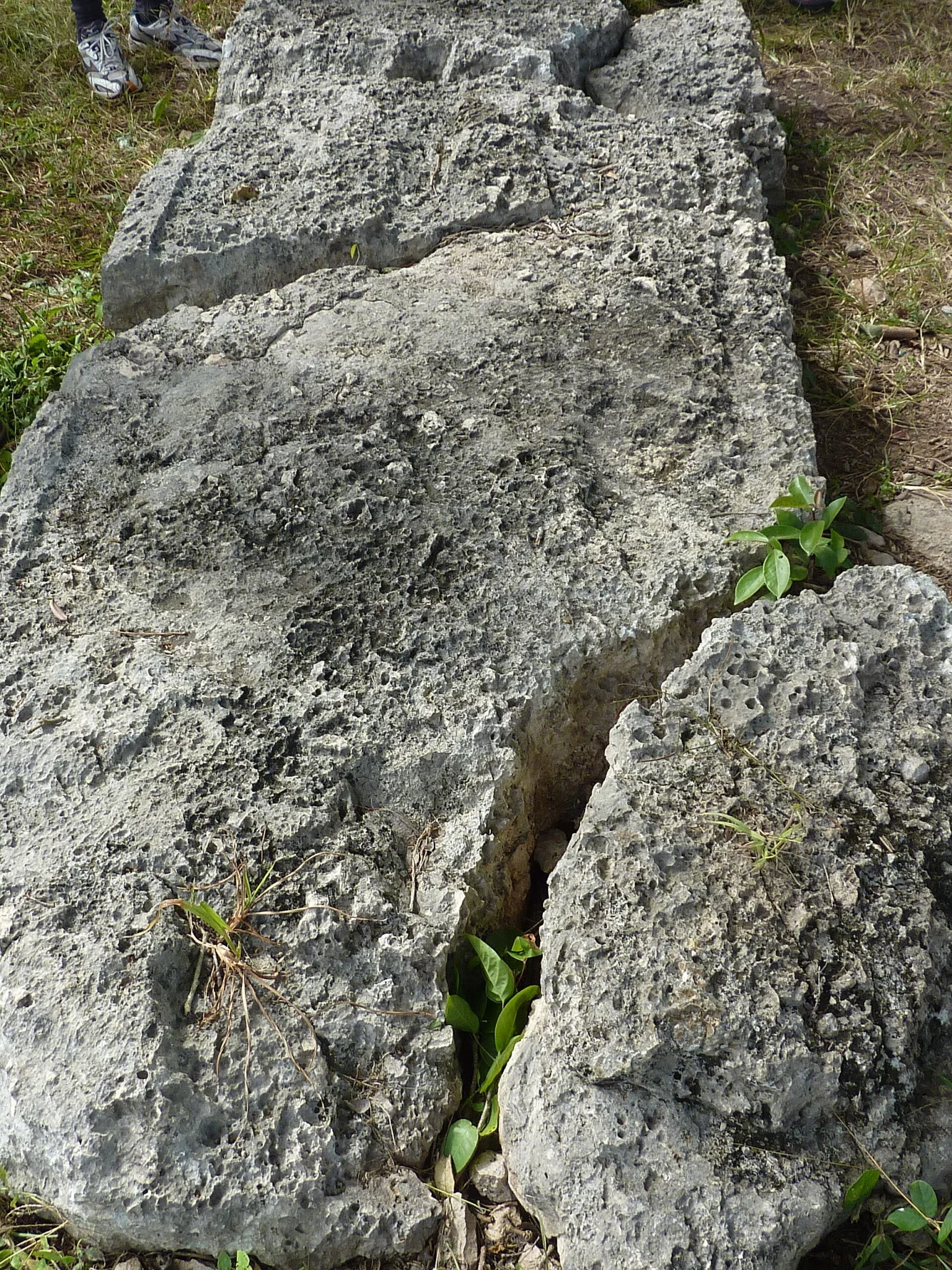 Dzibilchaltún